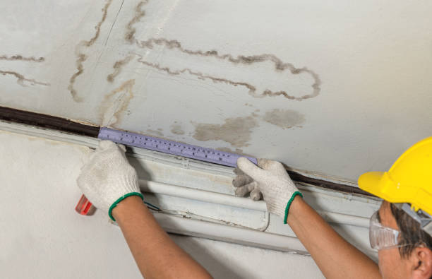 Reliable Water Damage contractor in New Canaan, CT by Water Damage Irwin